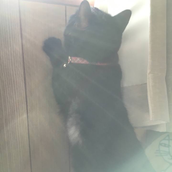 3db42782 0bbe 4403 9ab4 c91aecf0f858