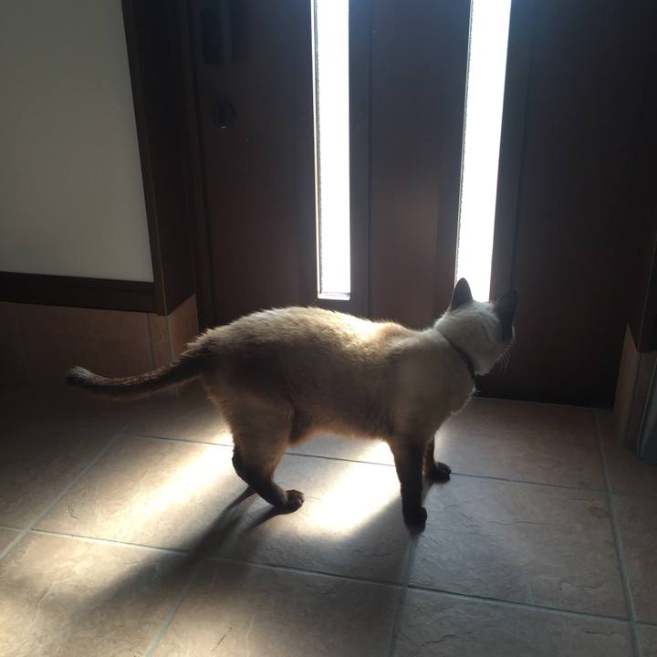 3db429b8 7ba4 4187 a601 09241af6c2bb