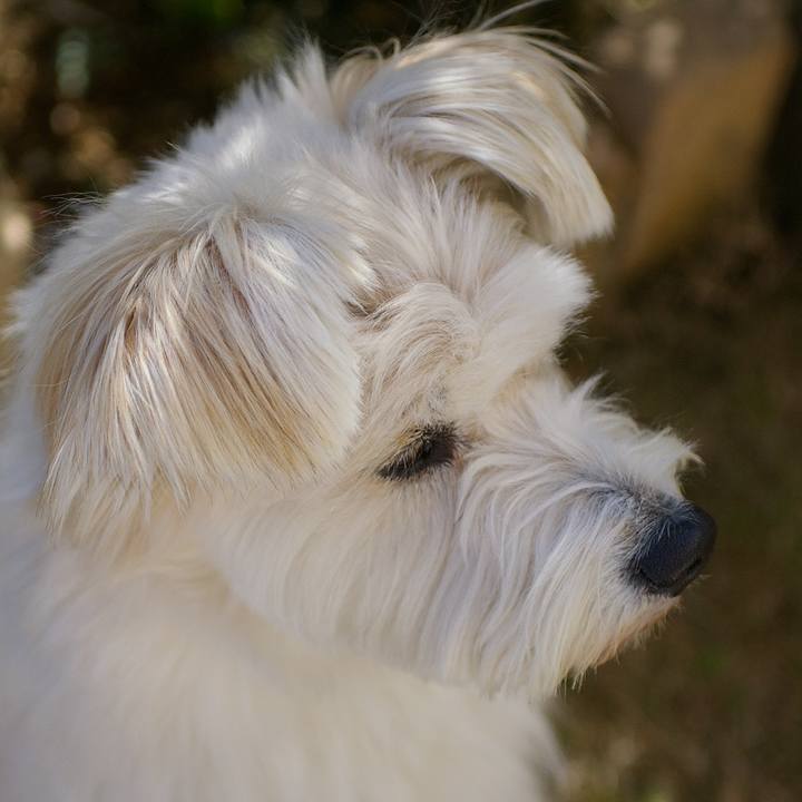 3db466bd 69b9 4fb4 84ef 5172275a20df