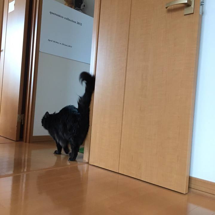 3db4a83e 3ff1 452c 8999 937014907274