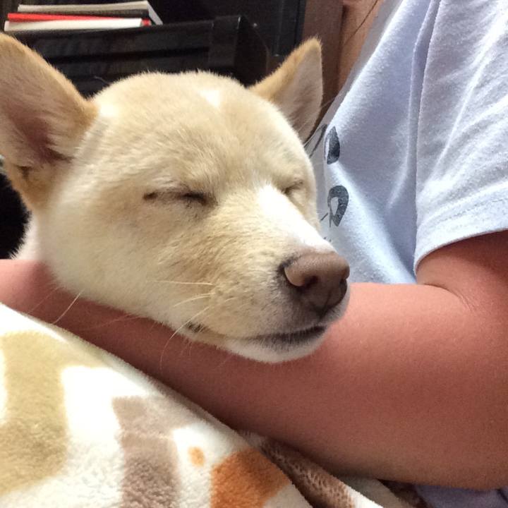 3db4ae1c 4597 4721 8d66 24cff8a32238