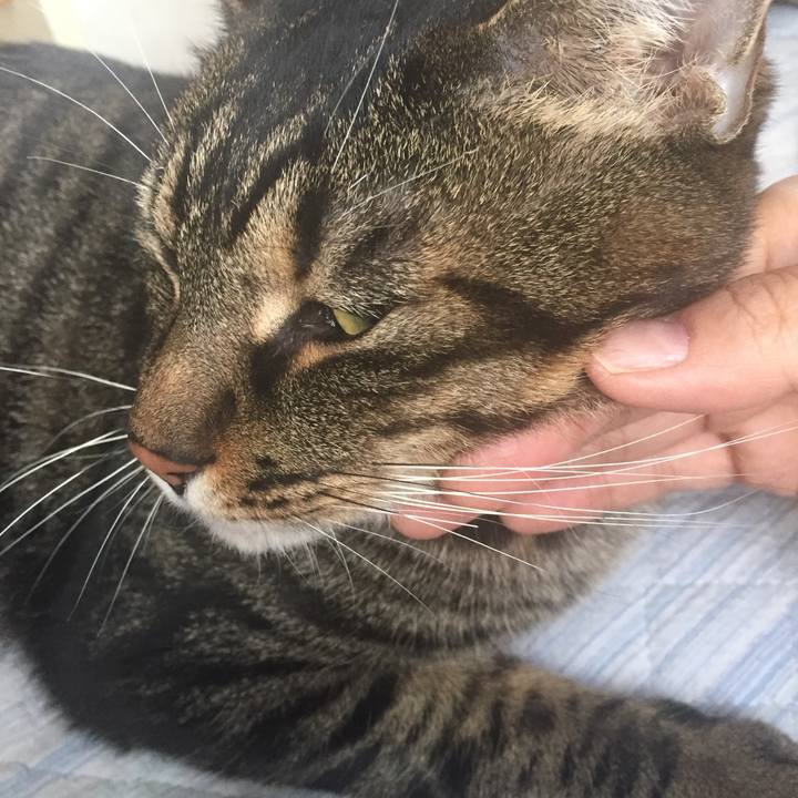 3db4fd57 d808 4a54 99fb 013a82a5b4a1