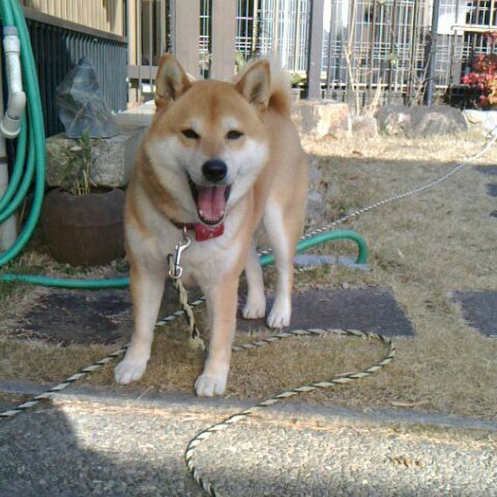 3db54e6e b89a 4b19 9ec0 301d05a529ed