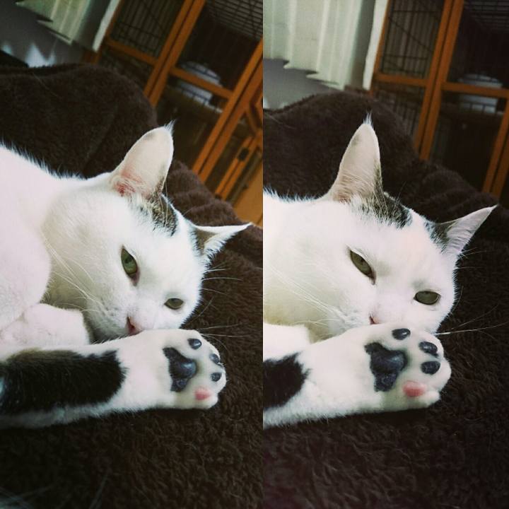 3db5a465 39db 498c 8135 d847974d5e44