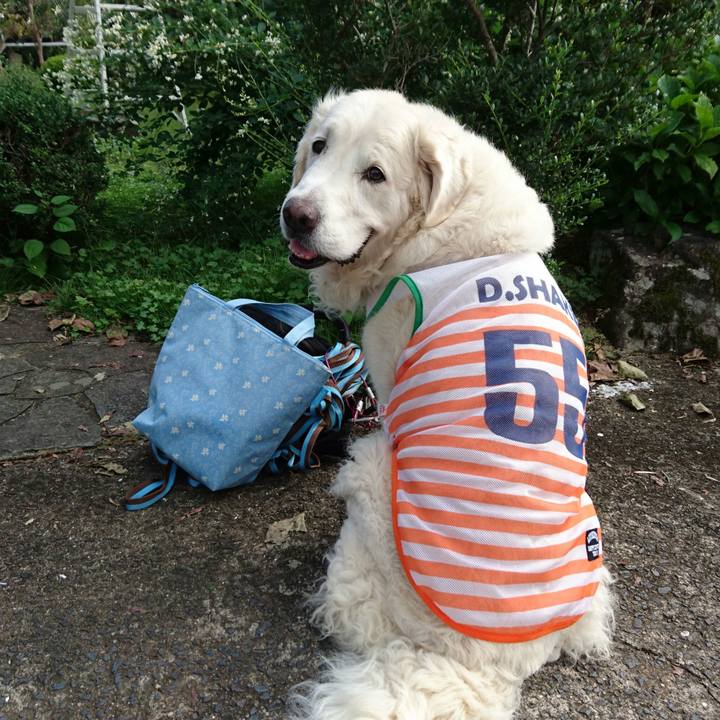 3db5c791 8ae0 473c ad65 46372bd861d9