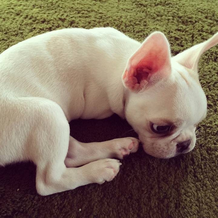 3db5d0bf af8c 49eb bc60 599f3269c4b9