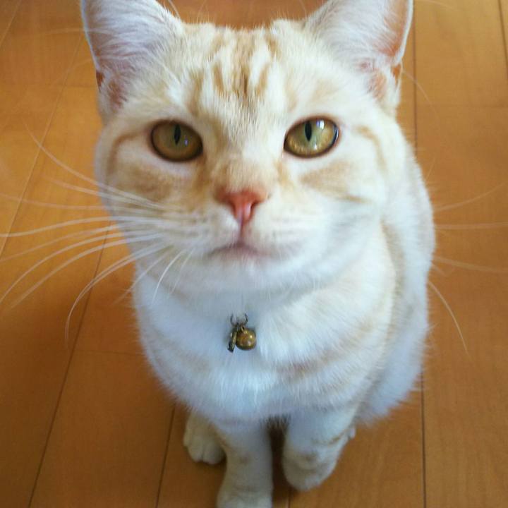 3db5ecd5 7ee8 4bbc bf71 bb81a7a8c1b4