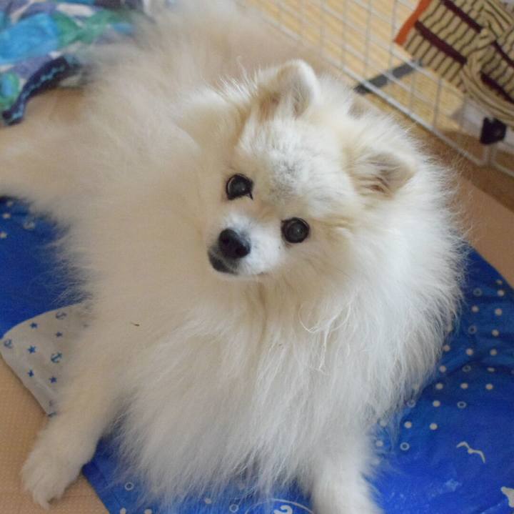 3db6165c 0ce1 4d8c 800d ac28d131bf66