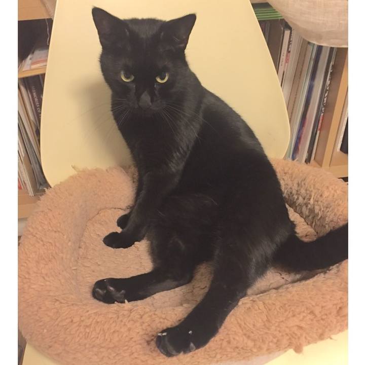 3db67c7f 39d8 4582 9ae8 c0e7f196a32a