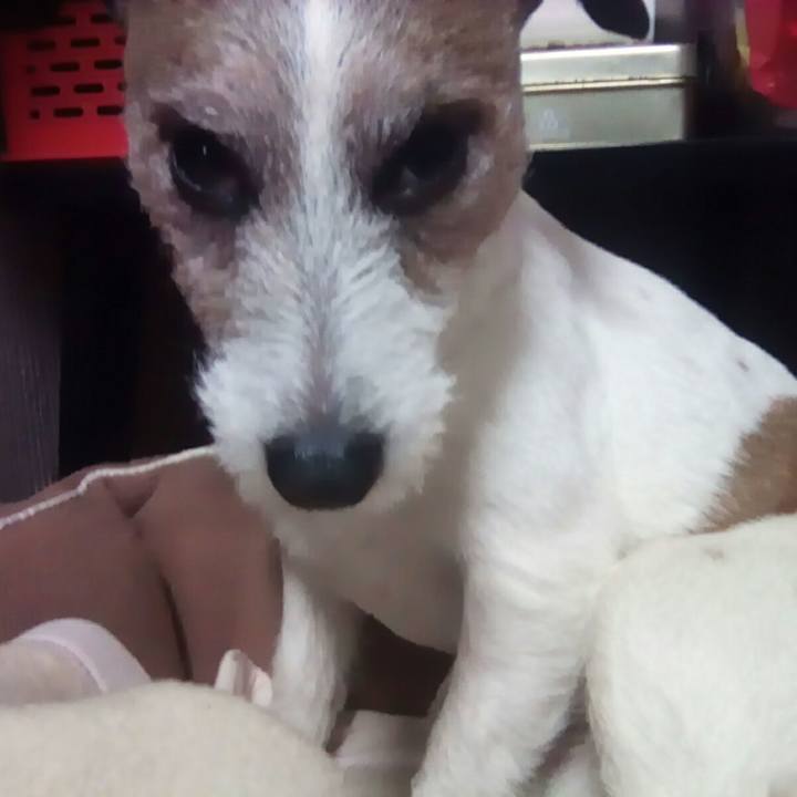 3db6a2f3 05d4 41f2 a4fa 0971bb3c8e3f