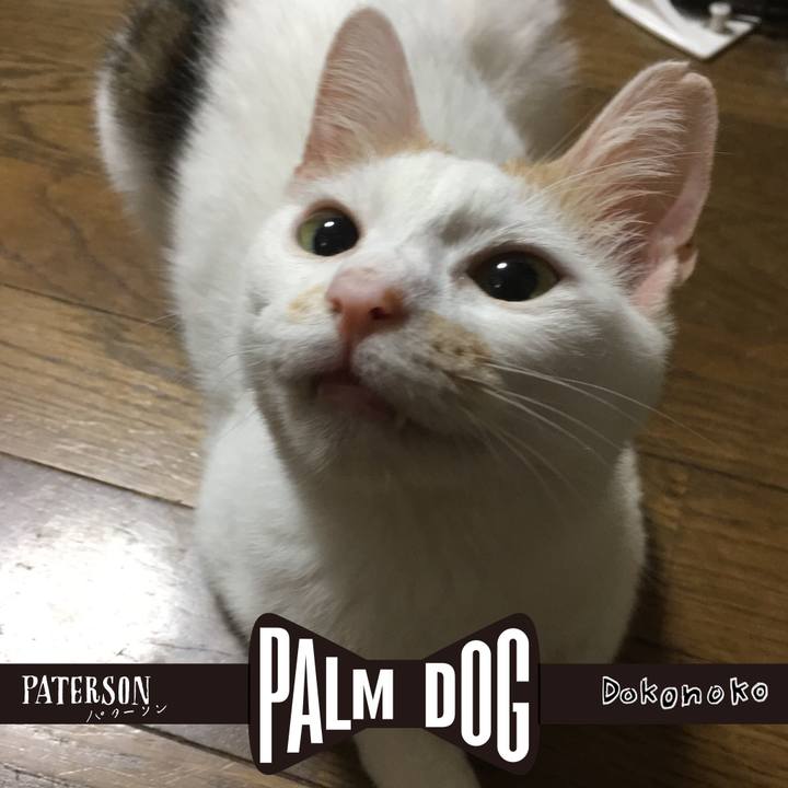 3db6ec8c 91d8 4bb7 aaac c8069b49df81