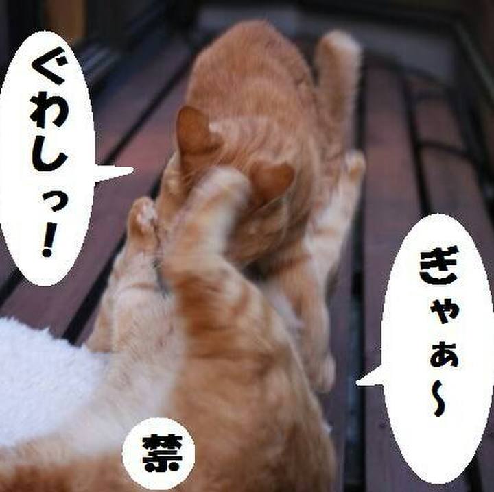 3db77035 b25a 42f1 a974 7ac87b9f0a3a