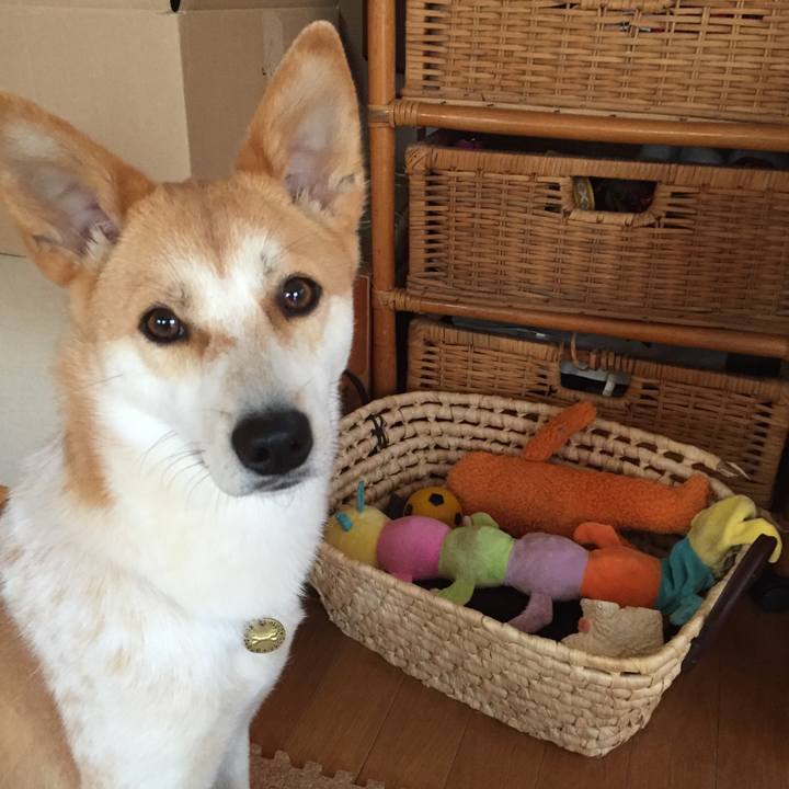 3db7c66c 8c9e 4da7 88c5 4d84604408e9