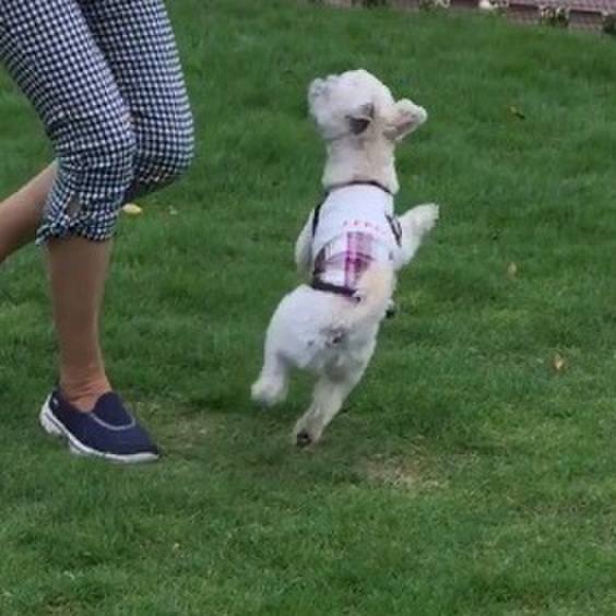 3db7f4cb 719d 48a5 8d10 27cbba8cc077