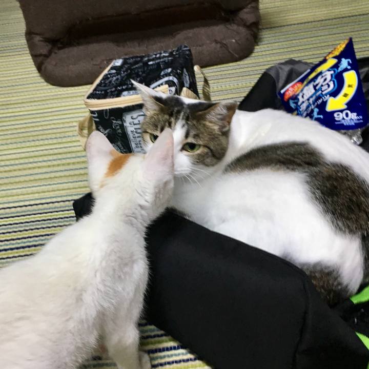 3db936ea bf9f 43a5 8ce2 08fef084f539