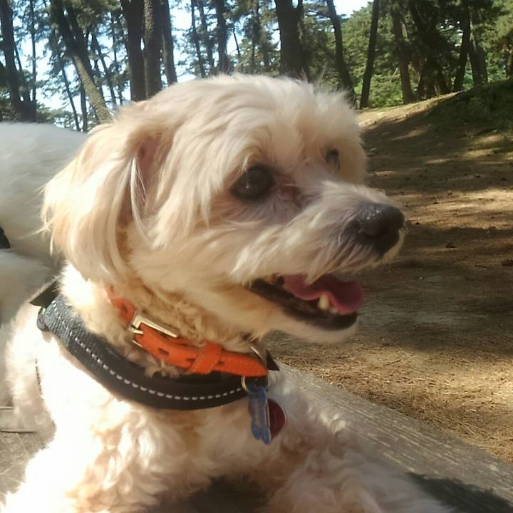 3db9d625 f46a 4f88 a8c4 36dbf4389931