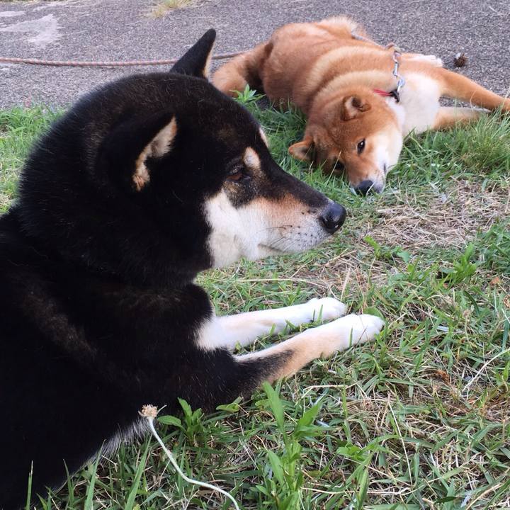 3dba0a13 f9b7 488a 9ace 80afd3f4c8e0