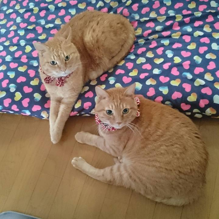 3dba0c9c 2555 4133 82ea 666f6c8ae6ba