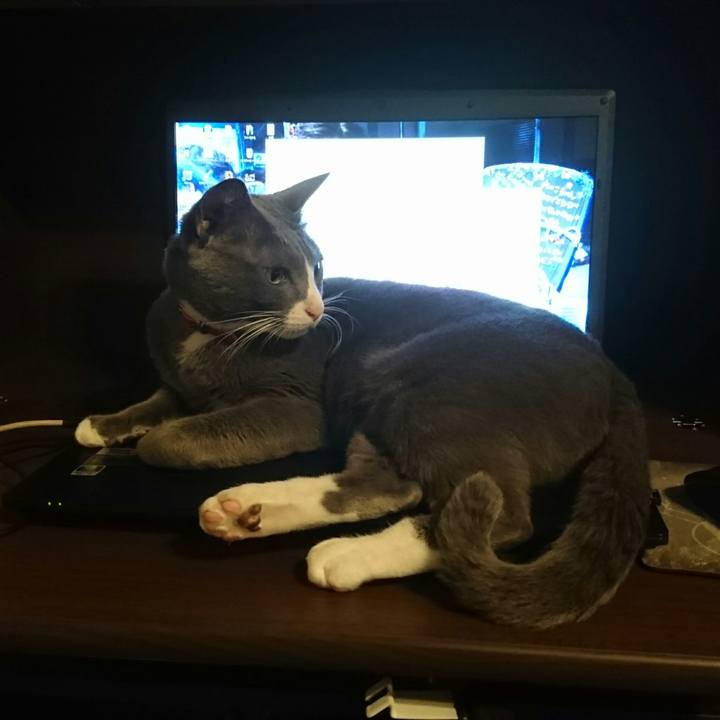 3dba125e 6f44 45ad b9c2 88e1fa91b295