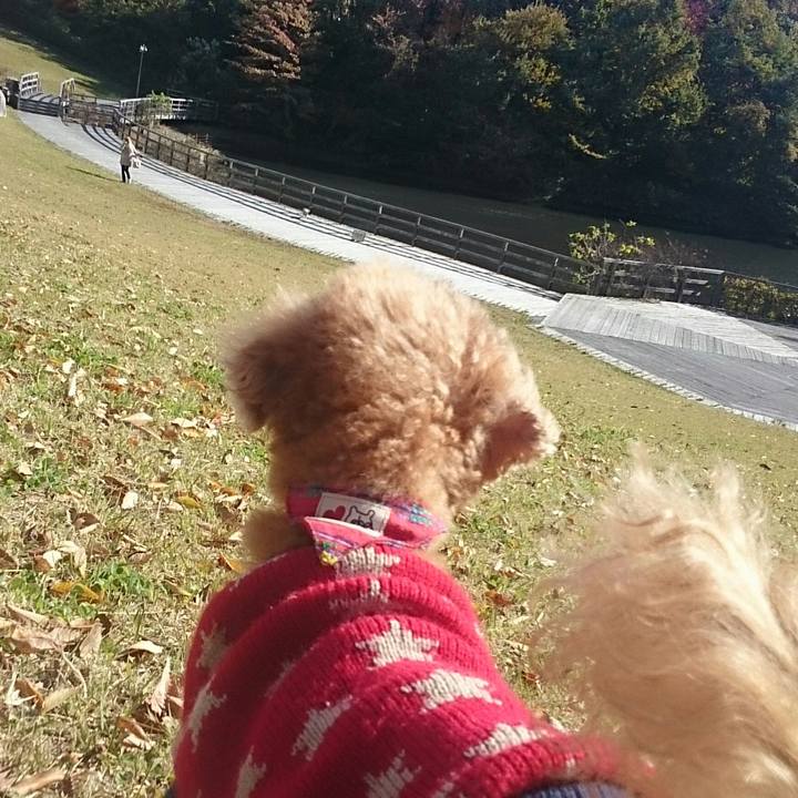 3dba2aa3 4c73 4230 ab1c bc53c1524d46