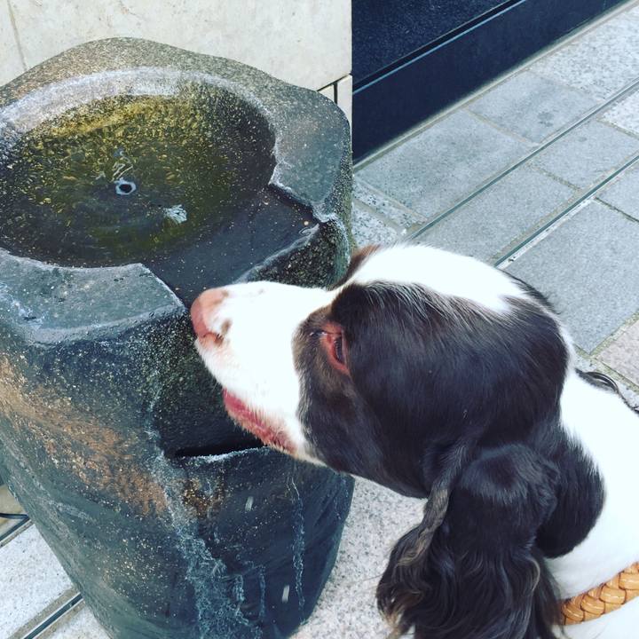 3dba36c7 fbaa 4f37 9c0a 73b56b398277