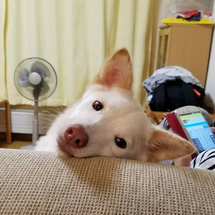 3dbaf96f 8992 41db a7c4 e4306d611c7a