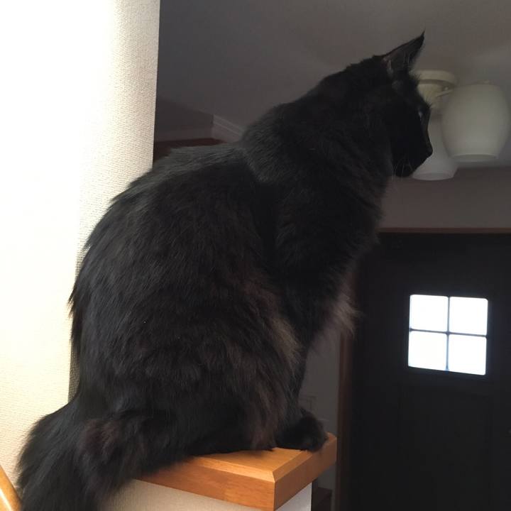 3dbb217f 2e19 4d86 8982 8d670bbfd5ab