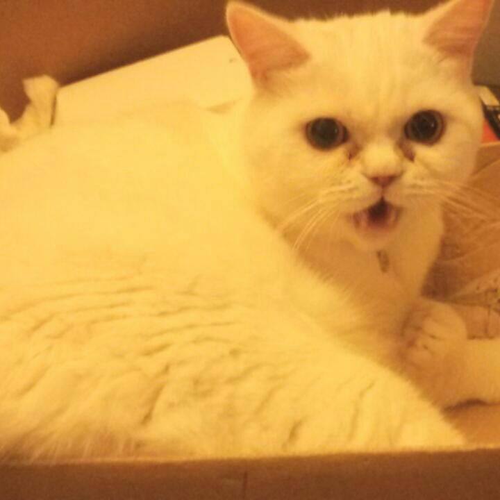 3dbcadd3 19a1 49bd 89e4 d35ba9cc5f79