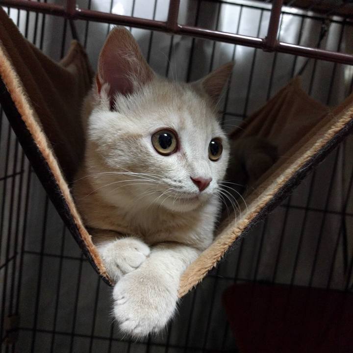 3dbd7c94 7e53 40c2 856e 771d17a3700d