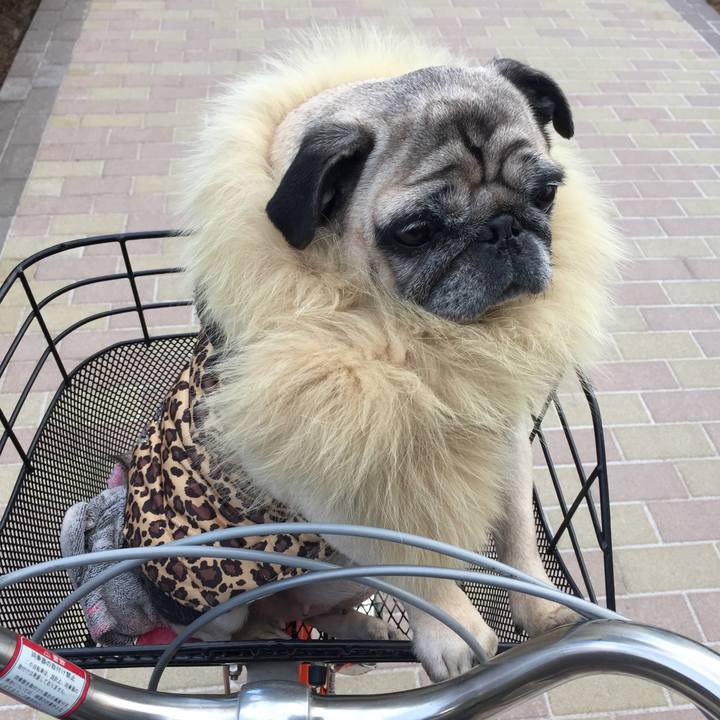 3dbdd4f2 a610 48a0 9d1b 567be6d6732f