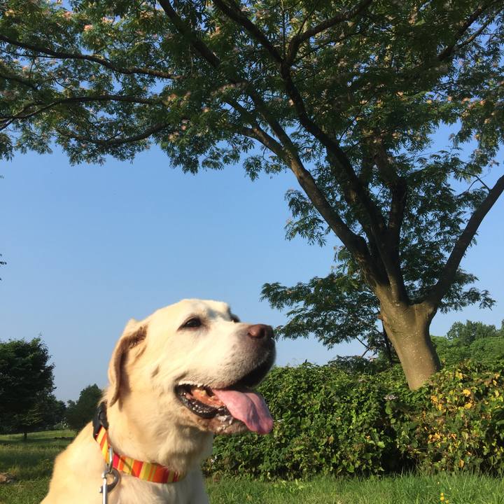 3dbde345 7911 4703 a6c1 74c6b082ef91