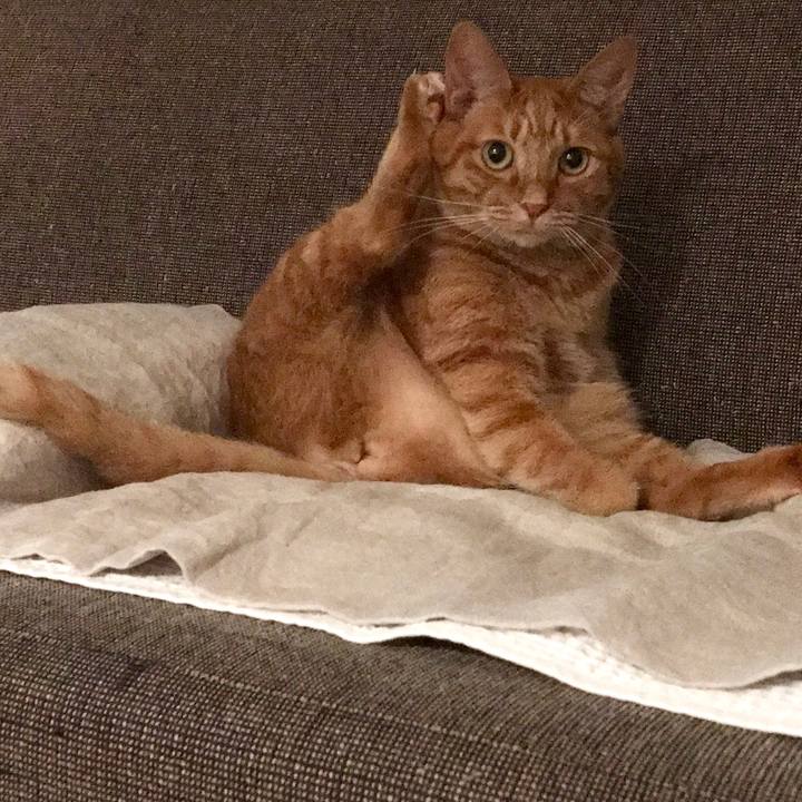 3dbde884 19d7 40f0 a988 61cf50e025d5