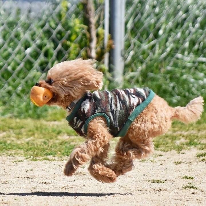 3dbe169e 549f 4261 97a7 40b5cdd3ab55