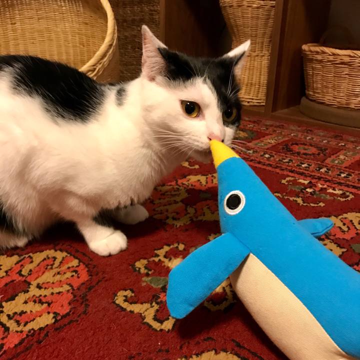 3dbf46ee d289 48ad 806b 1092706c9b10