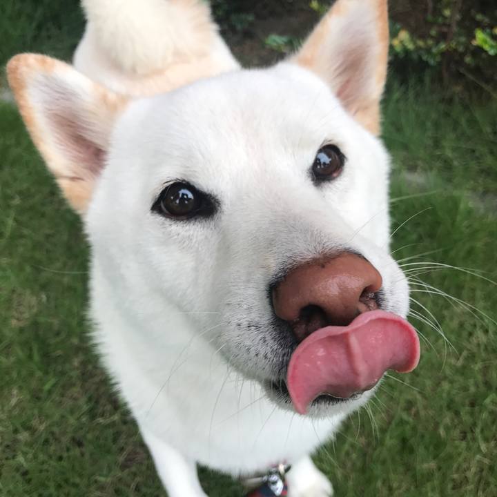 3dc0102d da75 424b 8cab 593e967968a3