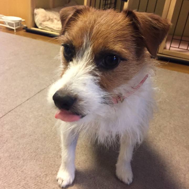 3dc01ec6 bd24 4a72 b1d8 1d7d7c6a53ee