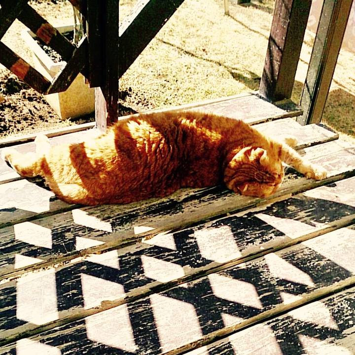 3dc23297 7775 4ca7 85d2 078dc826fe68