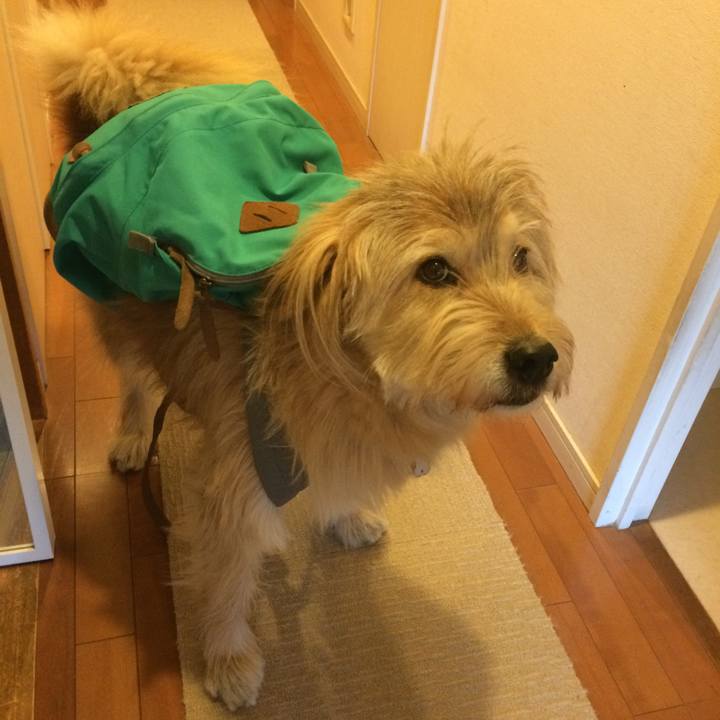 3dc246a2 7000 4d8a ad44 f480105d7d9d