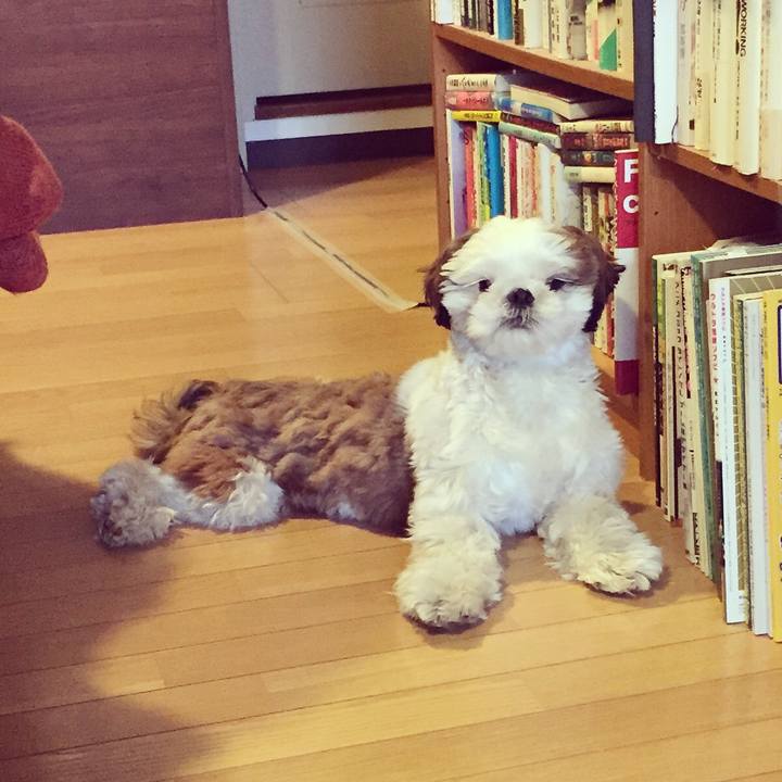 3dc2e17b bf66 4000 b936 566fde196db7