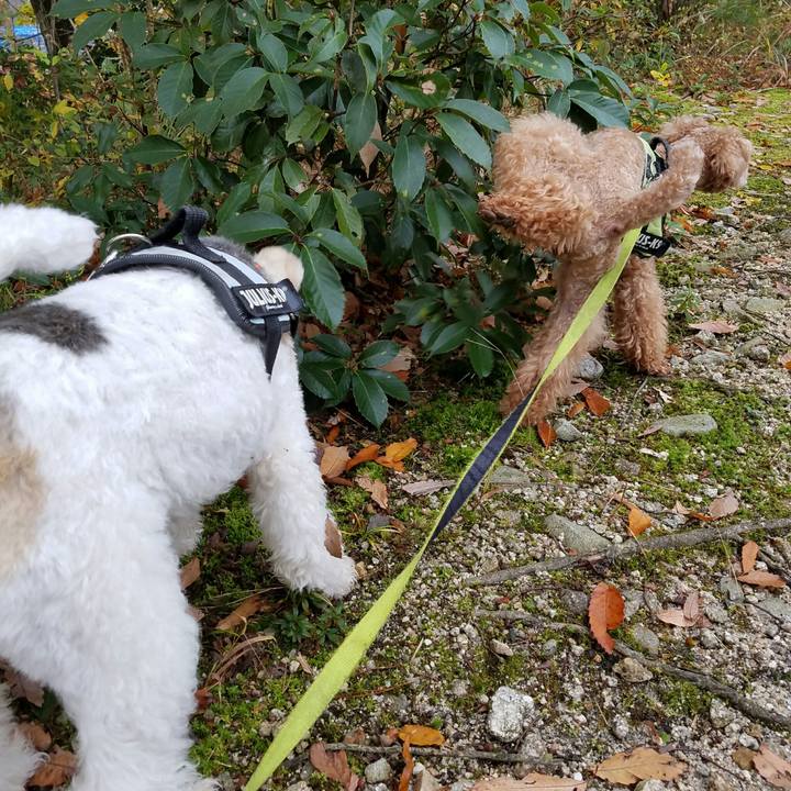 3dc3621e d2dd 4f33 a079 72074f602913