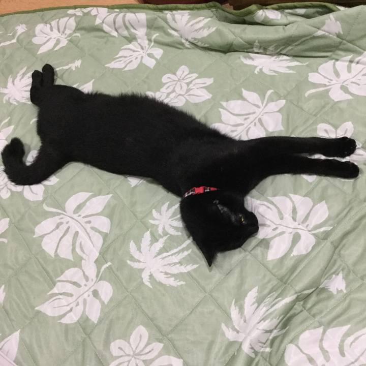 3dc373f6 a56f 458b bbed af3d142fe5aa