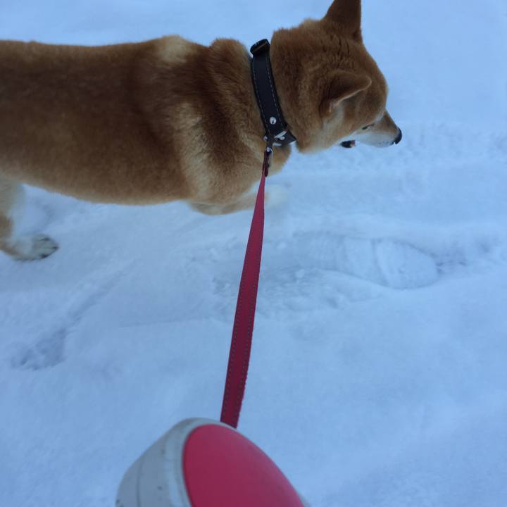 3dc38d47 5e9d 4f83 839b b427d225eda8