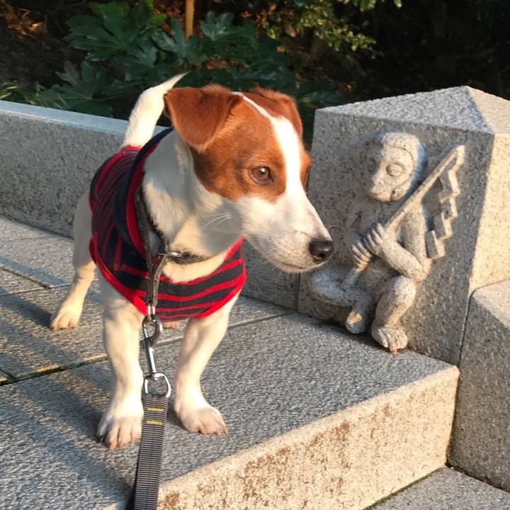 3dc5ba5b 8022 4e99 9e7f c7a973dbcdd8