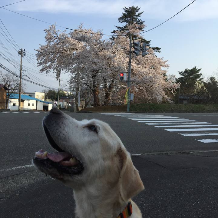 3dc611e2 3ee3 4231 92ae 4def2fe9b496