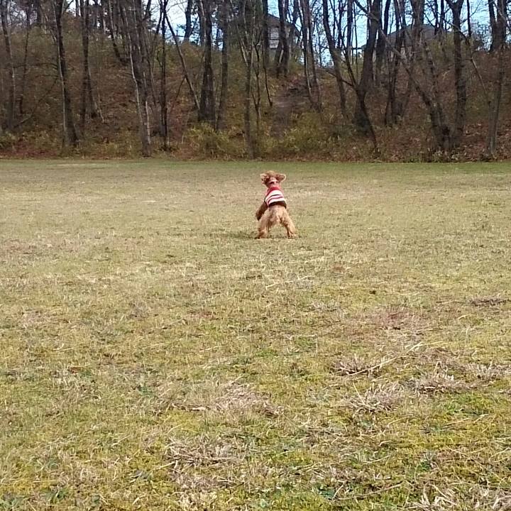 3dc64b77 d9ac 4d04 a743 ef6fa5da71ae