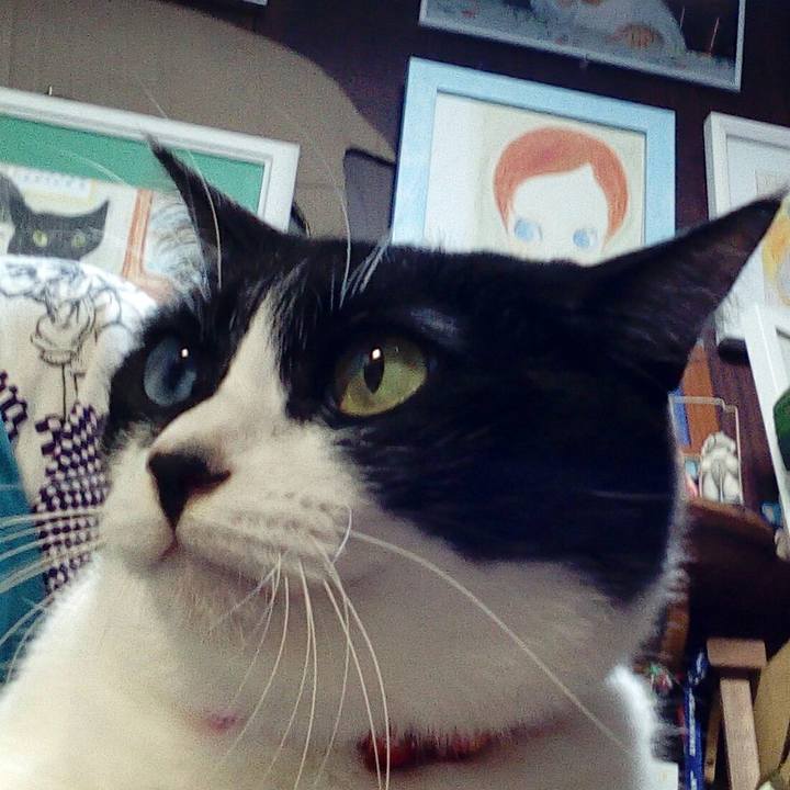 3dc6c39e e80b 4a50 be76 6e9199fe6ed9