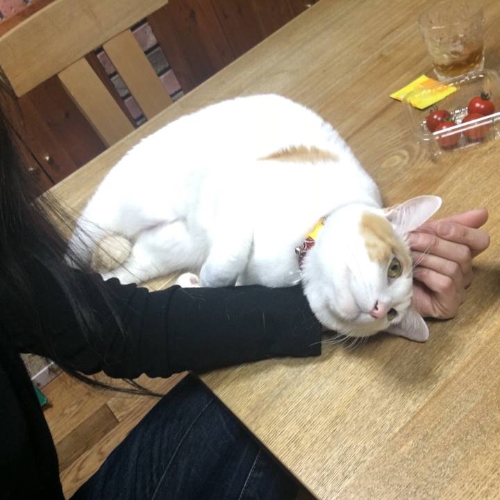 3dc6da46 59a3 4218 82c7 16a48d8dd095