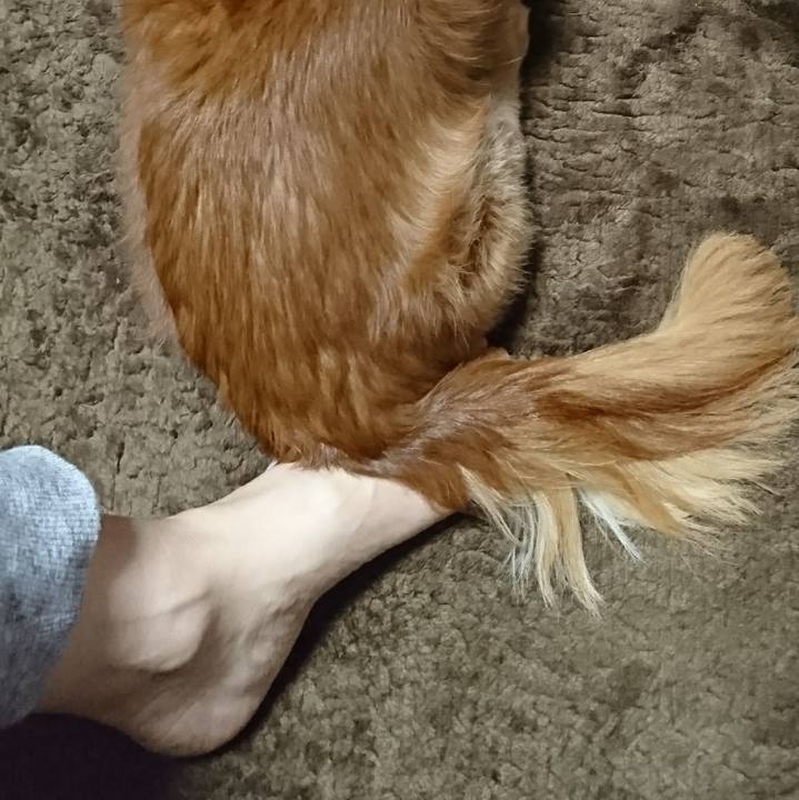 3dc74f6c 9e07 481e 94d1 e2c8d1d3c330