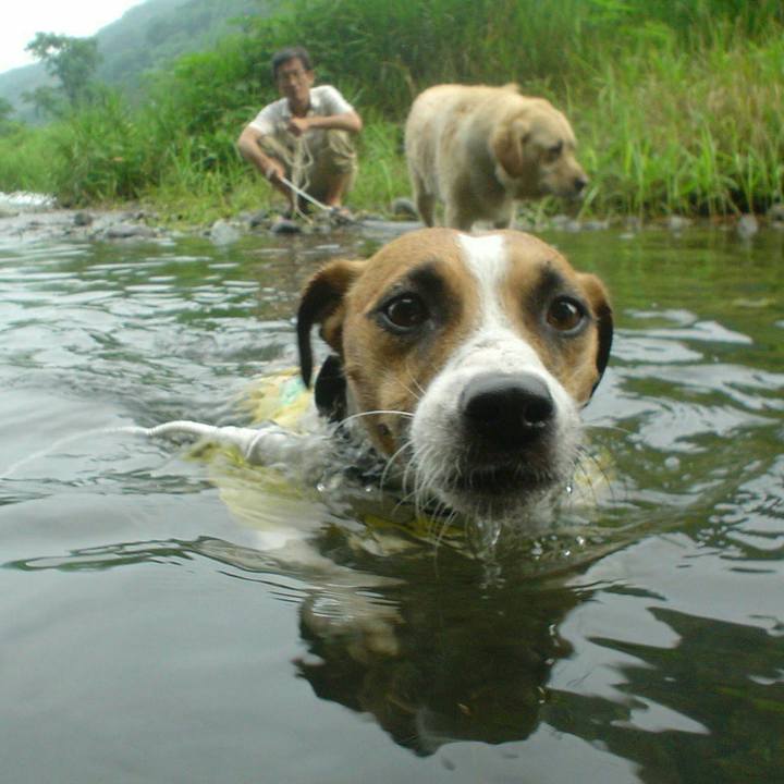 3dc7a7a4 7ba0 4ec9 b4b8 ed6eb6ac90f6