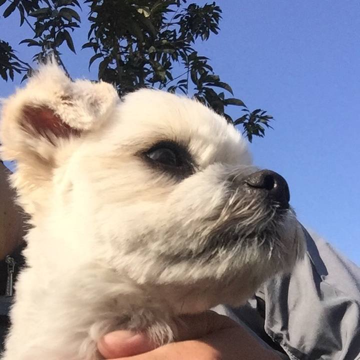 3dc7ca6e 93f3 4947 abf5 869b39fbcfd9